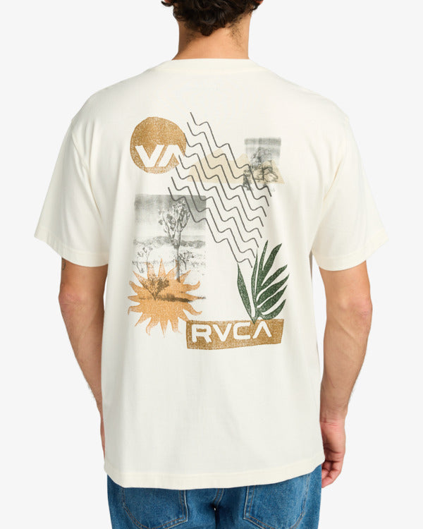 RV1SS1880_4.jpg