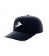 Boné Firewire Icon Dad Hat Black