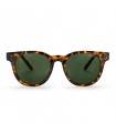 Óculos Sol Chpo Brand Torö X Turtle Brown